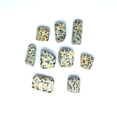 Dalmatian Jasper Tumbles